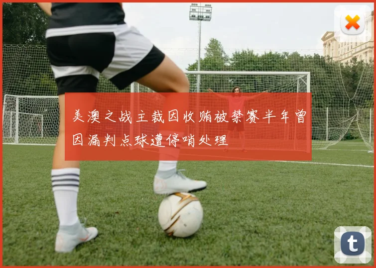 美澳之战主裁因收贿被禁赛半年曾因漏判点球遭停哨处理